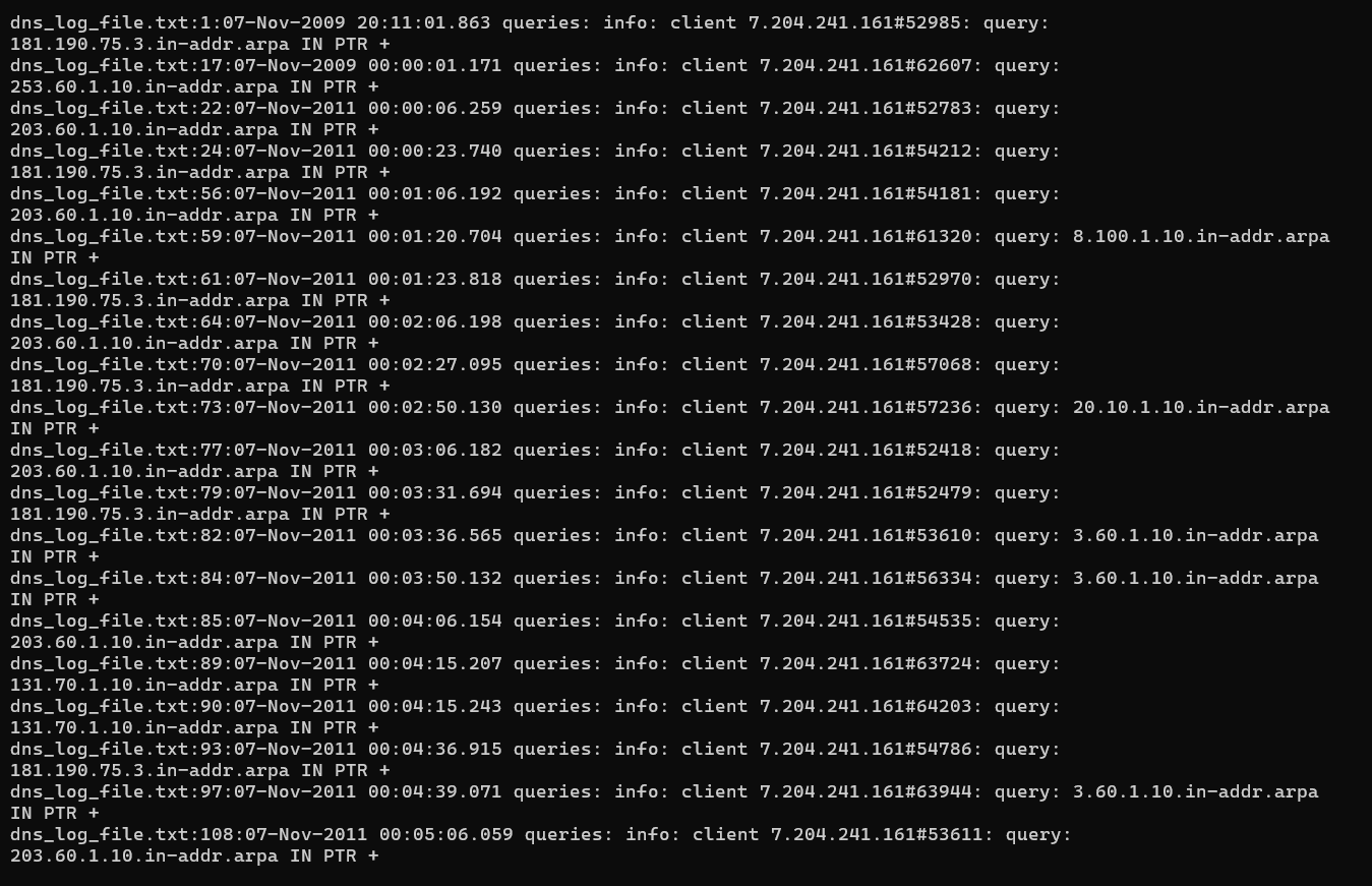 Suspicious DNS Activity screenshot